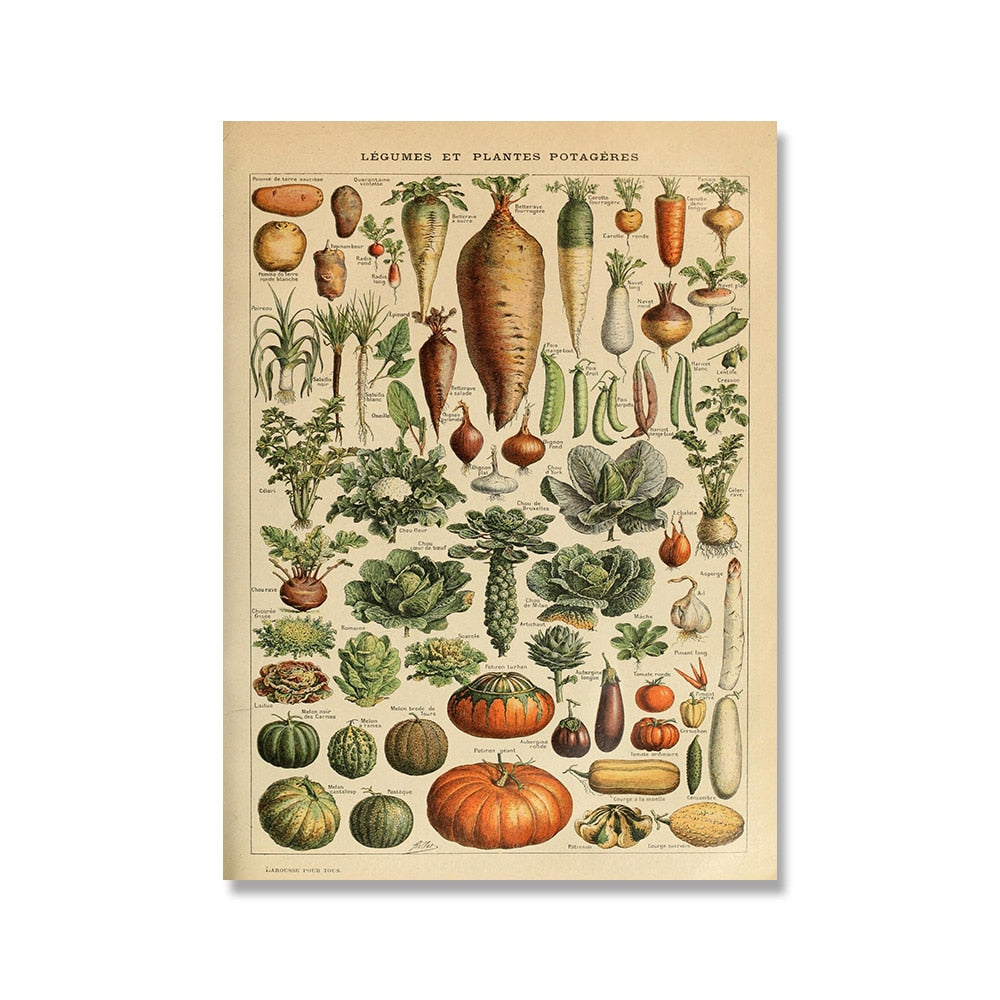 "Lemmikki" Vintage Botanical Prints Canvas Collection