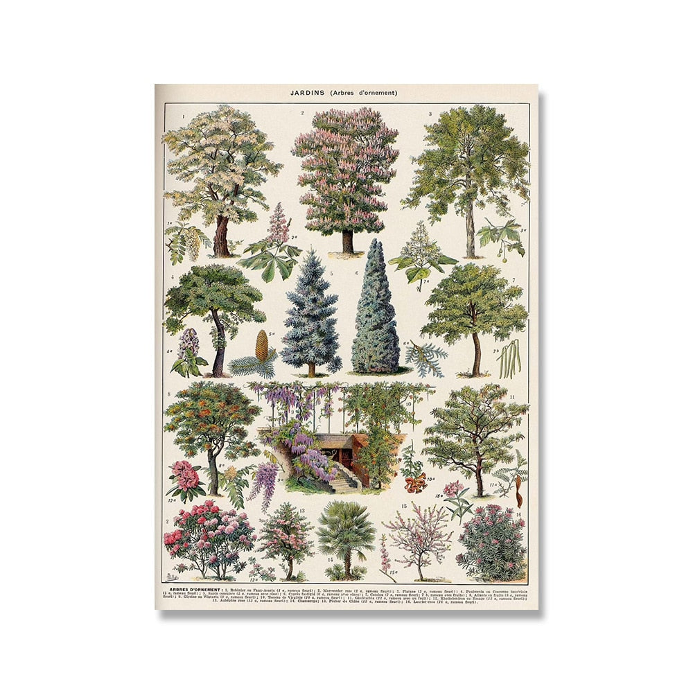 "Lemmikki" Vintage Botanical Prints Canvas Collection