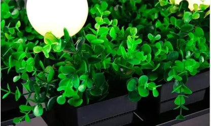 Hemma -  Iron Garden Planter Light Chandelier