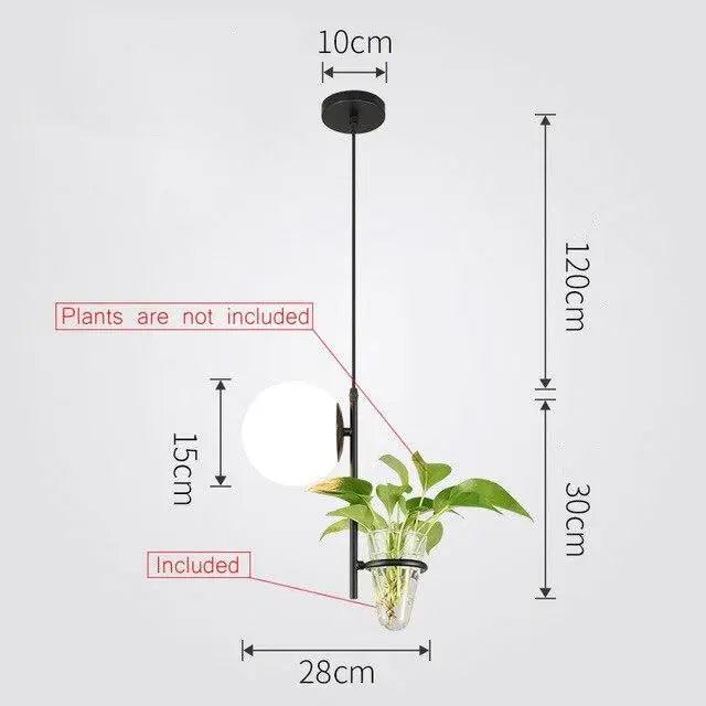 Tora - Pendant Planter Light